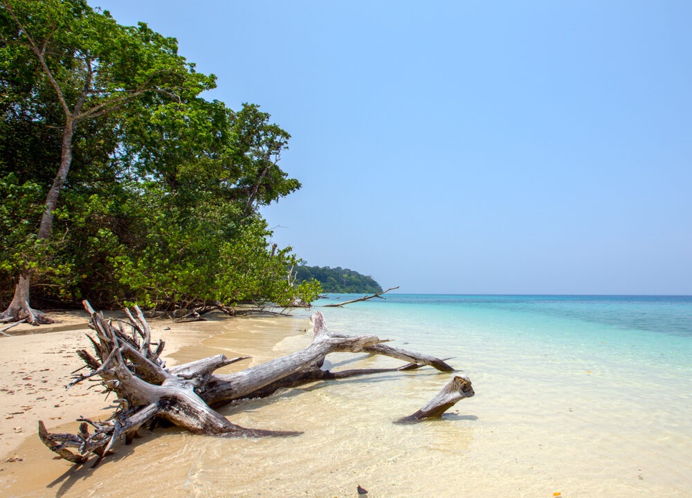 Havelock Island